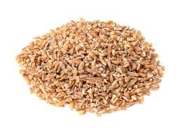 Wheat (Emmer)